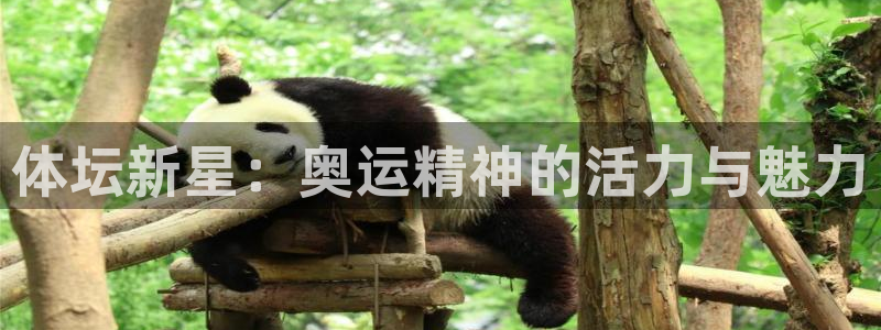 斗体育vip官网入口：体坛新星：奥运精神的活力与魅力