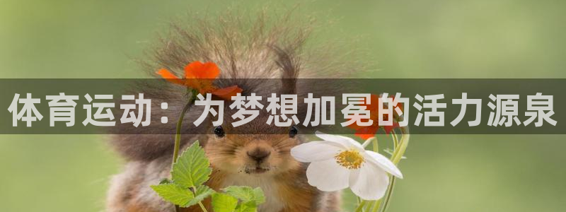 斗体育足球直播
