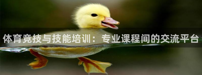 斗体育vip官网入口：体育竞技与技能培训：专业课程间的交流平台