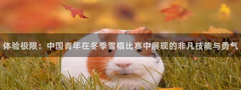 斗体育官网：体验极限：中国青年在冬季雪橇比赛中展现的非凡技能与勇气