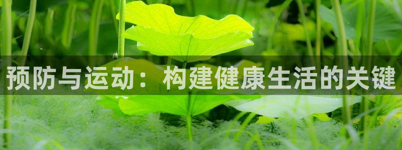 斗体育快直播：预防与运动：构建健康生活的关键